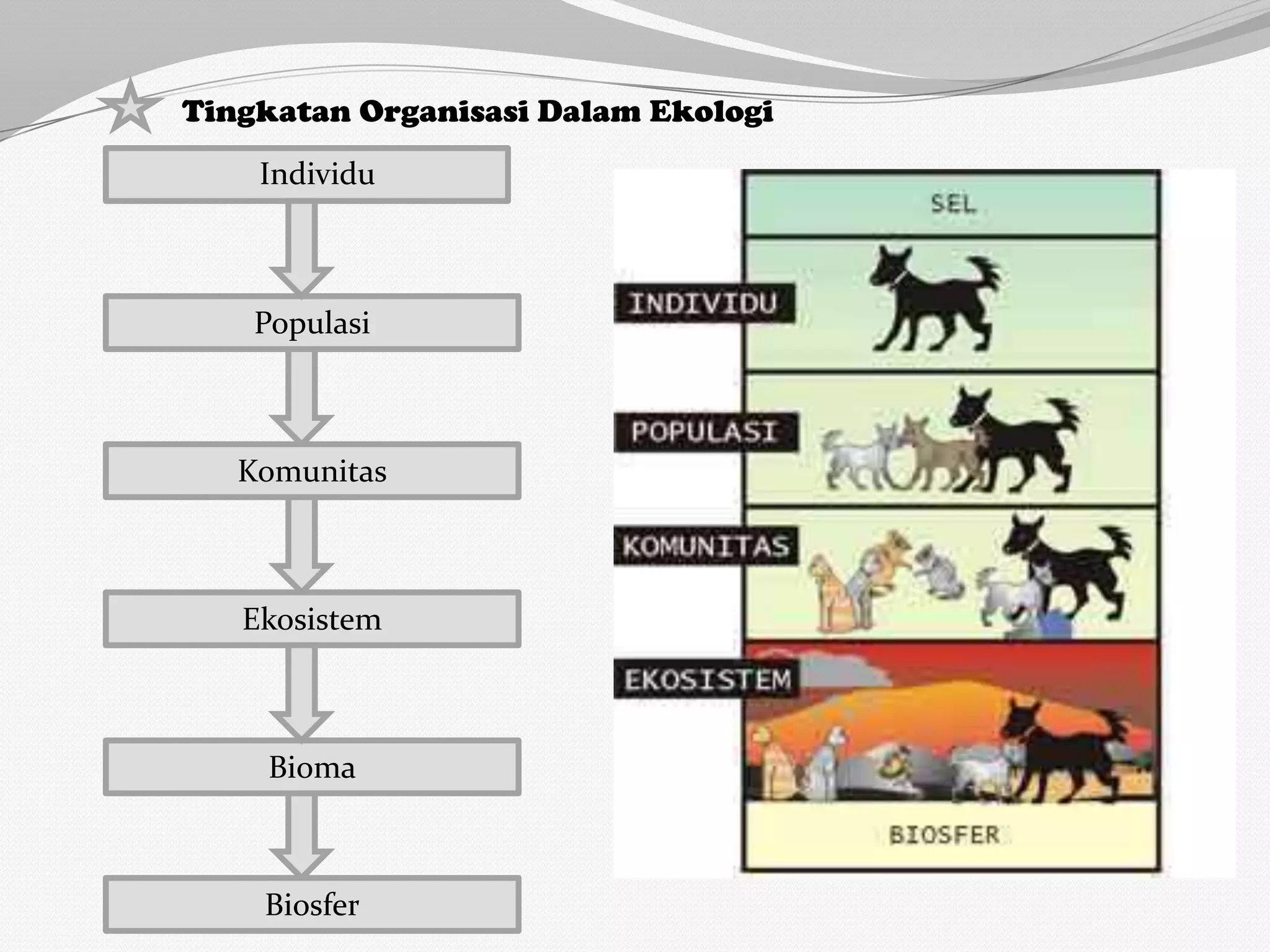 Contoh Individu Biologi Kelas X SMA/MA/SMK_Ekosistem dan Lingkungan Hidup | PPTX