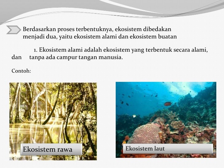 Biologi Kelas X SMA/MA/SMK_Ekosistem dan Lingkungan Hidup
