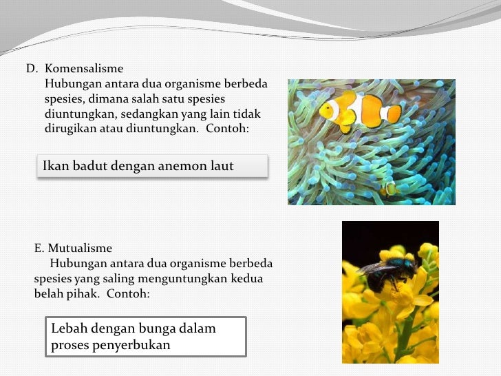 Biologi Kelas X SMA/MA/SMK_Ekosistem dan Lingkungan Hidup