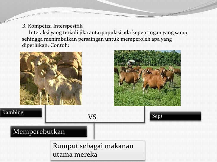 Biologi Kelas X SMA/MA/SMK_Ekosistem dan Lingkungan Hidup