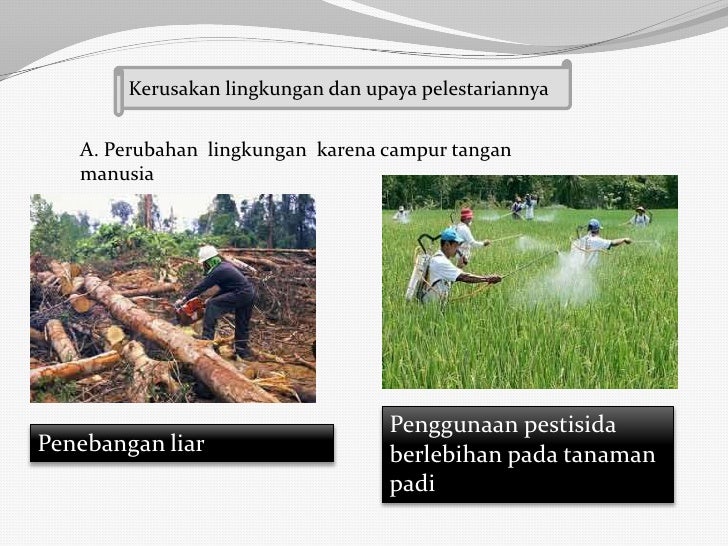 Contoh Kerusakan Ekosistem Oleh Manusia - 6 Contoh Contoh Kerusakan Ekosistem Oleh Manusia - 6 Contoh