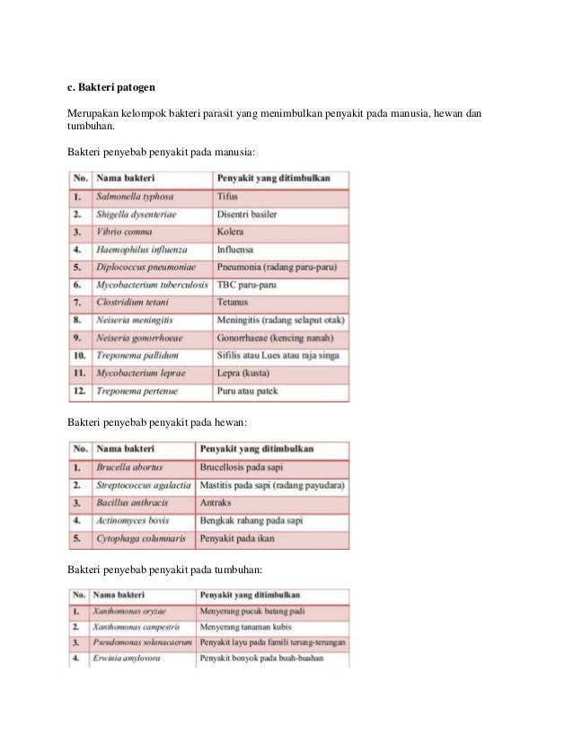 Sebutkan Bakteri Parasit Pada Hewan Dan Tumbuhan