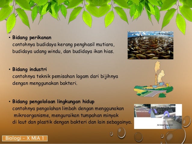 Peranan Biologi Dalam Kehidupan Manusia
