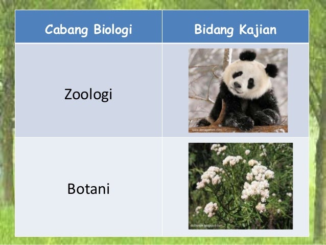 Biologi cabang dan bidang kajian bio