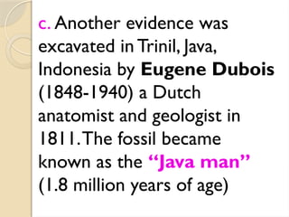 Trinil Java Biological-and-Cultural-Evolution Powerpoint presentation | PPTX