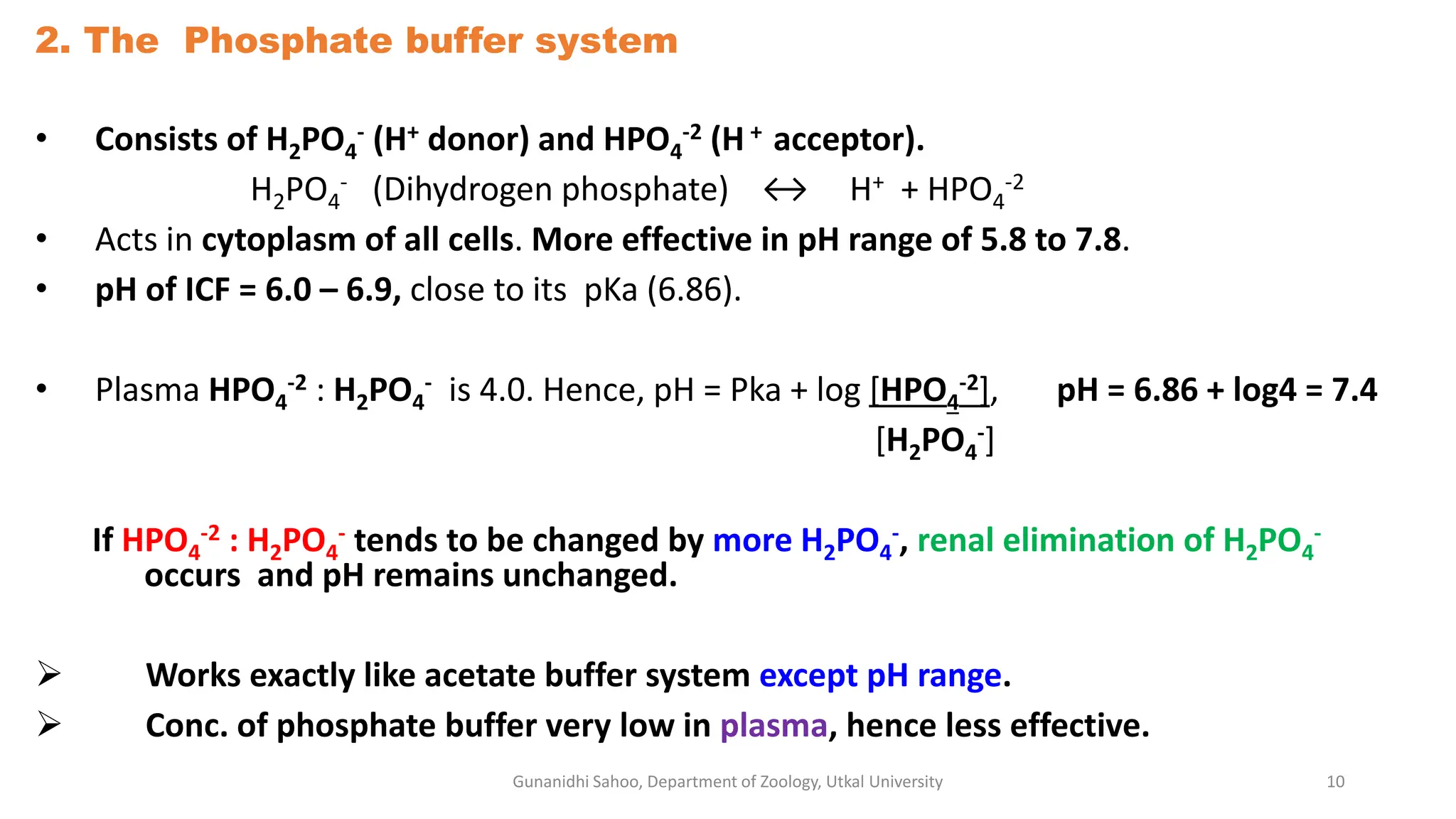 2. The Phosphate buffer system
• Consists of H2PO4
- (H+ donor) and HPO4
-2 (H + acceptor).
H2PO4
- (Dihydrogen phosphate) ↔ H+ + HPO4
-2
• Acts in cytoplasm of all cells. More effective in pH range of 5.8 to 7.8.
• pH of ICF = 6.0 – 6.9, close to its pKa (6.86).
• Plasma HPO4
-2 : H2PO4
- is 4.0. Hence, pH = Pka + log [HPO4
-2], pH = 6.86 + log4 = 7.4
[H2PO4
-]
If HPO4
-2 : H2PO4
- tends to be changed by more H2PO4
-, renal elimination of H2PO4
-
occurs and pH remains unchanged.
 Works exactly like acetate buffer system except pH range.
 Conc. of phosphate buffer very low in plasma, hence less effective.
Gunanidhi Sahoo, Department of Zoology, Utkal University 10
 
