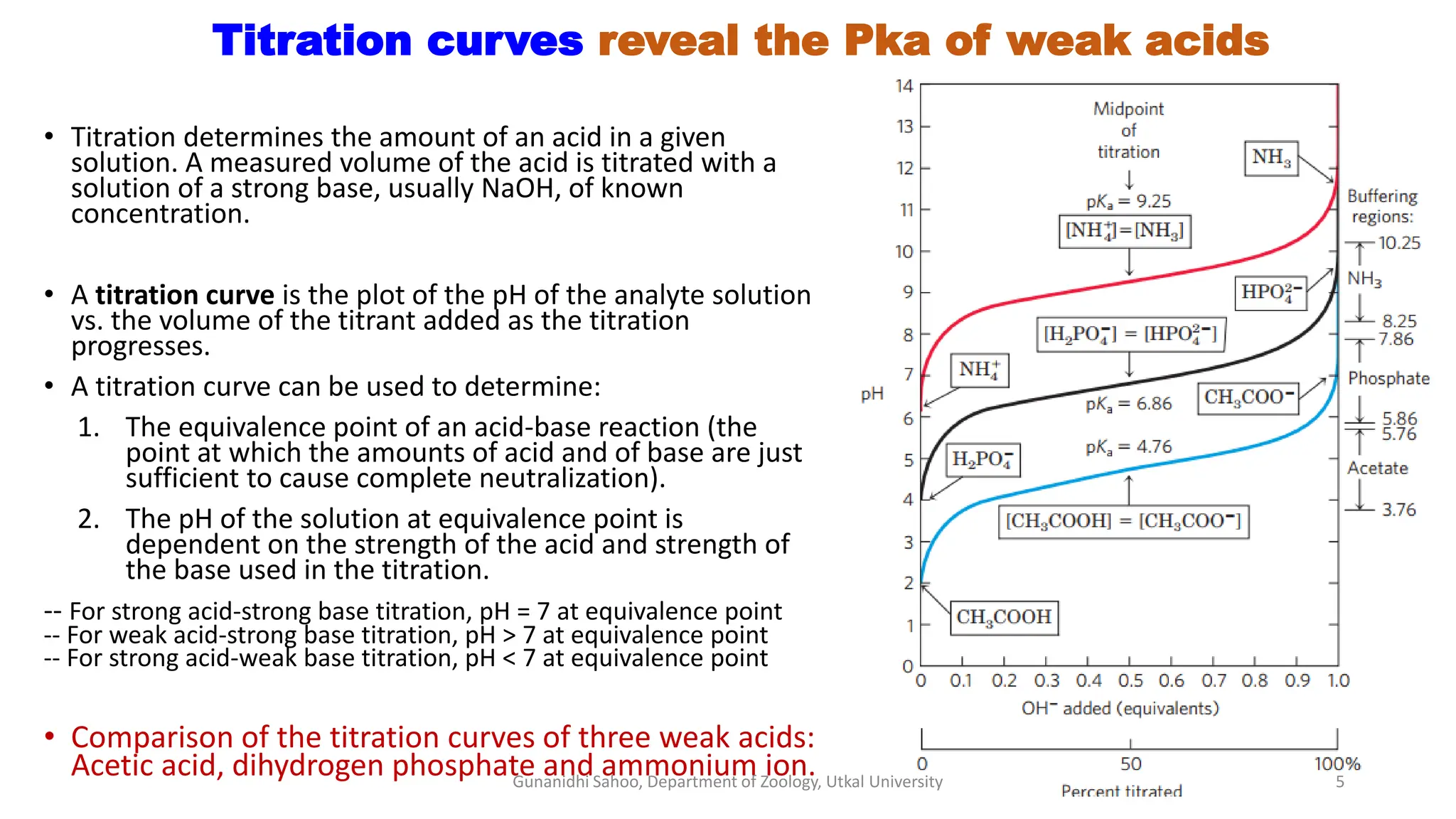 Titration curves reveal the Pka of weak acids
• Titration determines the amount of an acid in a given
solution. A measured volume of the acid is titrated with a
solution of a strong base, usually NaOH, of known
concentration.
• A titration curve is the plot of the pH of the analyte solution
vs. the volume of the titrant added as the titration
progresses.
• A titration curve can be used to determine:
1. The equivalence point of an acid-base reaction (the
point at which the amounts of acid and of base are just
sufficient to cause complete neutralization).
2. The pH of the solution at equivalence point is
dependent on the strength of the acid and strength of
the base used in the titration.
-- For strong acid-strong base titration, pH = 7 at equivalence point
-- For weak acid-strong base titration, pH > 7 at equivalence point
-- For strong acid-weak base titration, pH < 7 at equivalence point
• Comparison of the titration curves of three weak acids:
Acetic acid, dihydrogen phosphate and ammonium ion.
Gunanidhi Sahoo, Department of Zoology, Utkal University 5
 