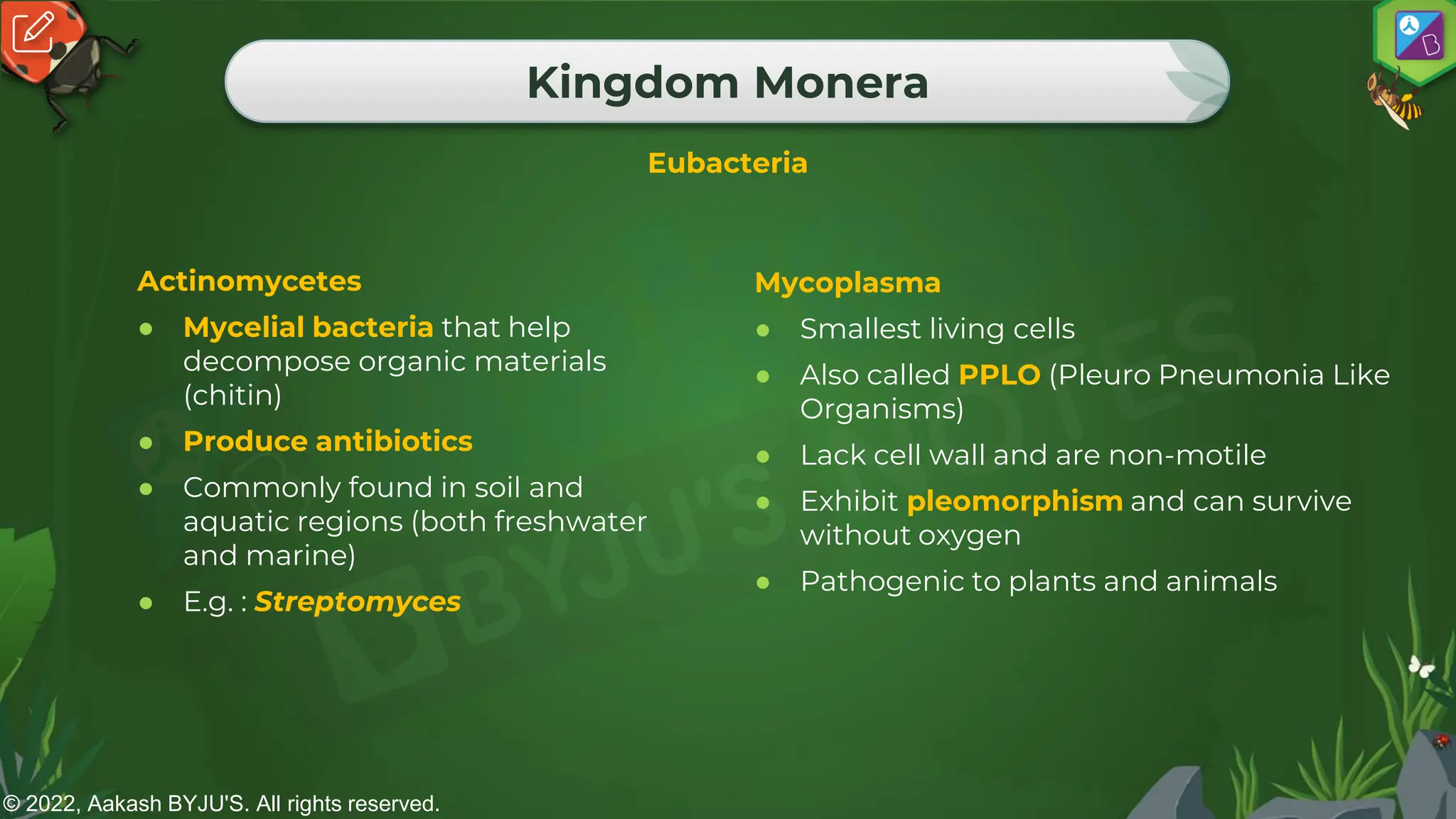 © 2022, Aakash BYJU'S. All rights reserved.
Kingdom Monera
Eubacteria
Actinomycetes
● Mycelial bacteria that help
decompose organic materials
(chitin)
● Produce antibiotics
● Commonly found in soil and
aquatic regions (both freshwater
and marine)
● E.g. : Streptomyces
Mycoplasma
● Smallest living cells
● Also called PPLO (Pleuro Pneumonia Like
Organisms)
● Lack cell wall and are non-motile
● Exhibit pleomorphism and can survive
without oxygen
● Pathogenic to plants and animals
 