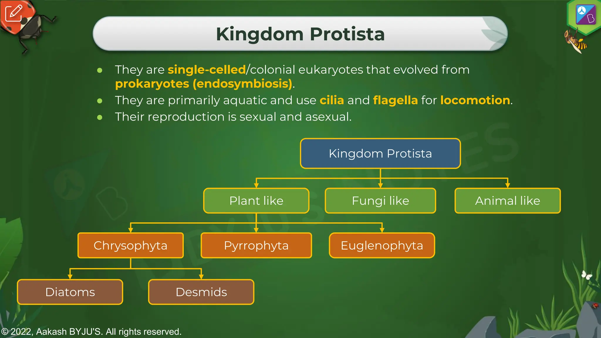 © 2022, Aakash BYJU'S. All rights reserved.
Kingdom Protista
● They are single-celled/colonial eukaryotes that evolved from
prokaryotes (endosymbiosis).
● They are primarily aquatic and use cilia and flagella for locomotion.
● Their reproduction is sexual and asexual.
Kingdom Protista
Plant like Fungi like Animal like
Chrysophyta Pyrrophyta Euglenophyta
Diatoms Desmids
 