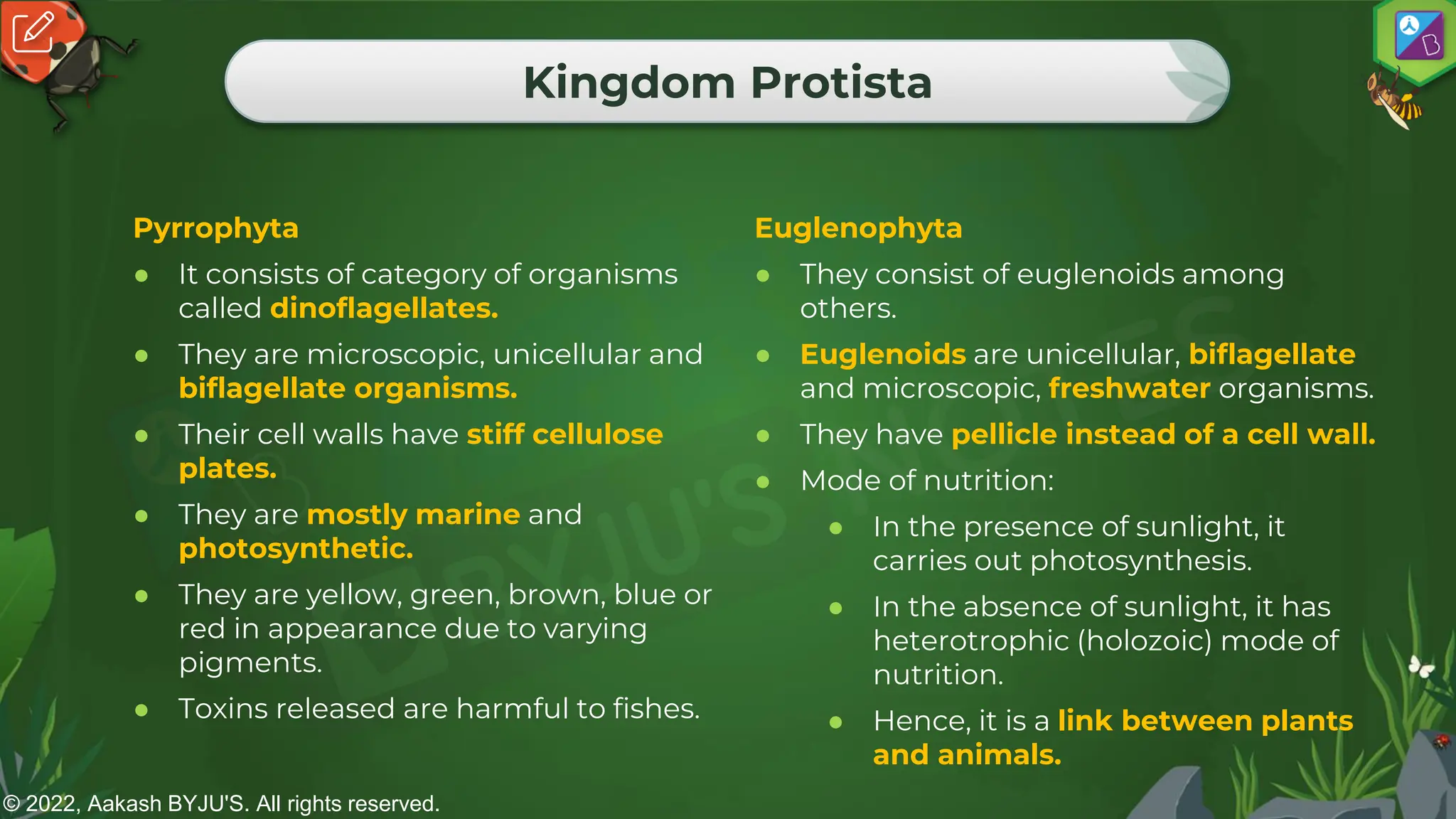 © 2022, Aakash BYJU'S. All rights reserved.
Kingdom Protista
Pyrrophyta
● It consists of category of organisms
called dinoflagellates.
● They are microscopic, unicellular and
biflagellate organisms.
● Their cell walls have stiff cellulose
plates.
● They are mostly marine and
photosynthetic.
● They are yellow, green, brown, blue or
red in appearance due to varying
pigments.
● Toxins released are harmful to fishes.
Euglenophyta
● They consist of euglenoids among
others.
● Euglenoids are unicellular, biflagellate
and microscopic, freshwater organisms.
● They have pellicle instead of a cell wall.
● Mode of nutrition:
● In the presence of sunlight, it
carries out photosynthesis.
● In the absence of sunlight, it has
heterotrophic (holozoic) mode of
nutrition.
● Hence, it is a link between plants
and animals.
 