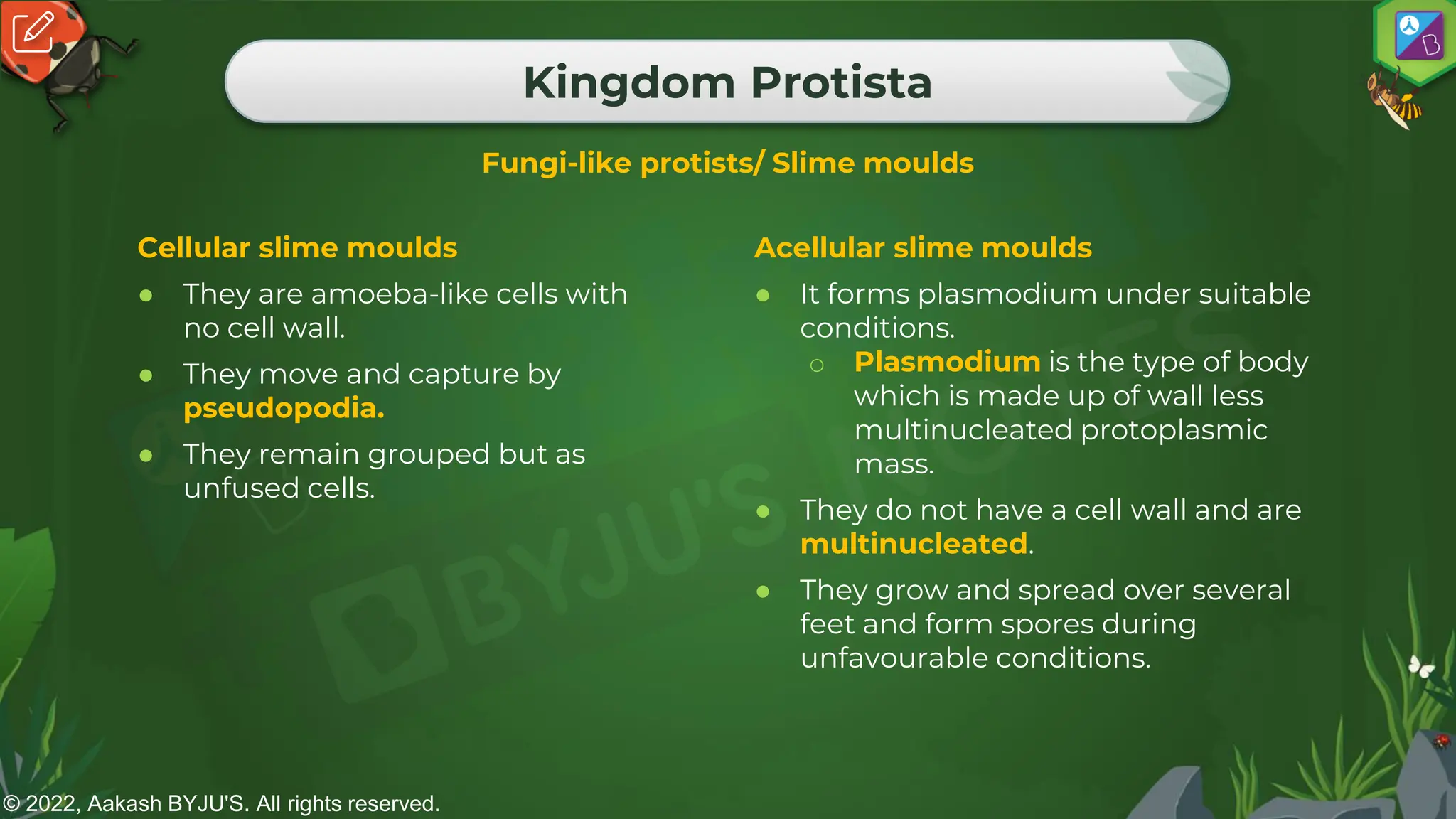 © 2022, Aakash BYJU'S. All rights reserved.
Kingdom Protista
Cellular slime moulds
● They are amoeba-like cells with
no cell wall.
● They move and capture by
pseudopodia.
● They remain grouped but as
unfused cells.
Acellular slime moulds
● It forms plasmodium under suitable
conditions.
o Plasmodium is the type of body
which is made up of wall less
multinucleated protoplasmic
mass.
● They do not have a cell wall and are
multinucleated.
● They grow and spread over several
feet and form spores during
unfavourable conditions.
Fungi-like protists/ Slime moulds
 