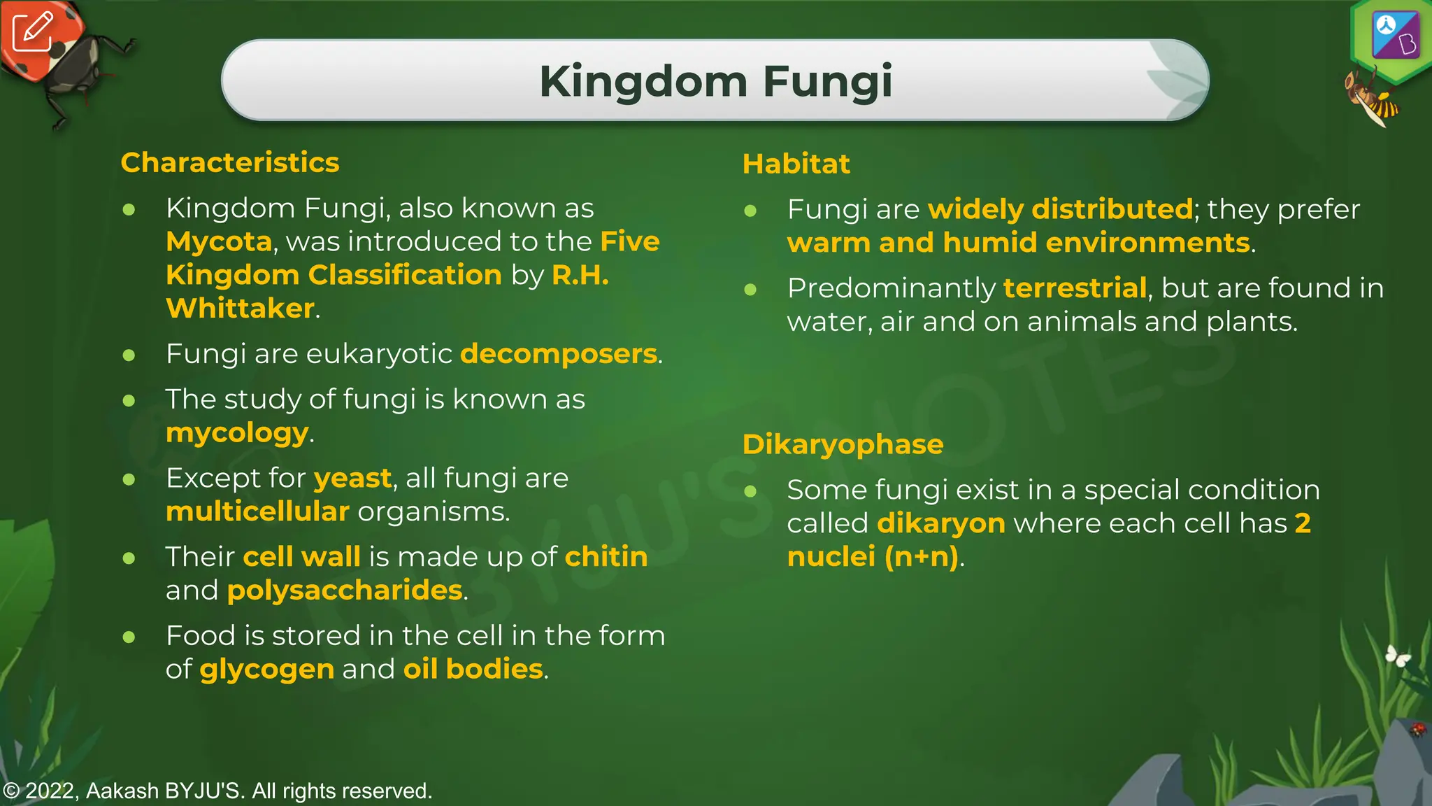 © 2022, Aakash BYJU'S. All rights reserved.
Kingdom Fungi
Characteristics
● Kingdom Fungi, also known as
Mycota, was introduced to the Five
Kingdom Classification by R.H.
Whittaker.
● Fungi are eukaryotic decomposers.
● The study of fungi is known as
mycology.
● Except for yeast, all fungi are
multicellular organisms.
● Their cell wall is made up of chitin
and polysaccharides.
● Food is stored in the cell in the form
of glycogen and oil bodies.
Habitat
● Fungi are widely distributed; they prefer
warm and humid environments.
● Predominantly terrestrial, but are found in
water, air and on animals and plants.
Dikaryophase
● Some fungi exist in a special condition
called dikaryon where each cell has 2
nuclei (n+n).
 