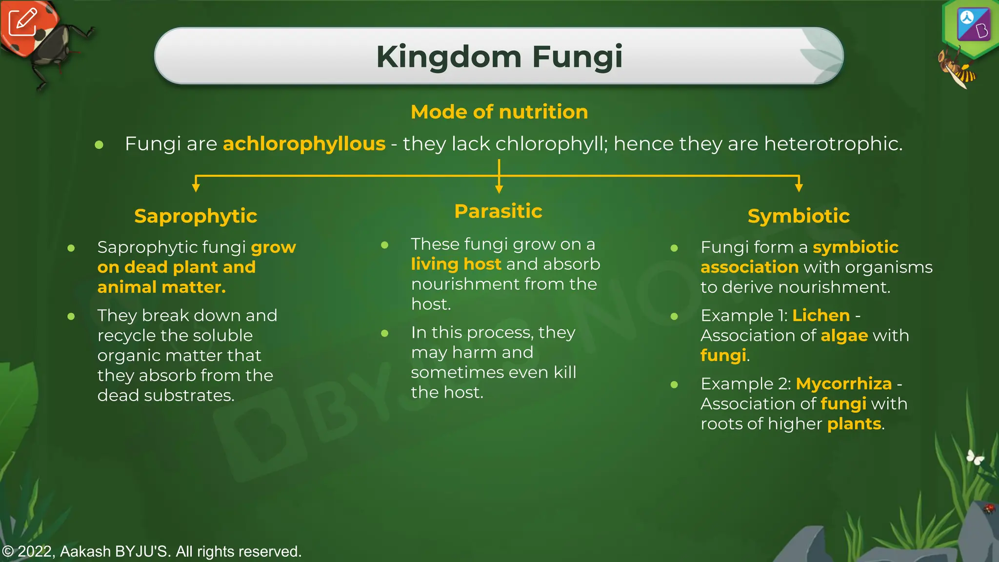 © 2022, Aakash BYJU'S. All rights reserved.
Kingdom Fungi
Mode of nutrition
● Fungi are achlorophyllous - they lack chlorophyll; hence they are heterotrophic.
● Saprophytic fungi grow
on dead plant and
animal matter.
● They break down and
recycle the soluble
organic matter that
they absorb from the
dead substrates.
Saprophytic
● These fungi grow on a
living host and absorb
nourishment from the
host.
● In this process, they
may harm and
sometimes even kill
the host.
Parasitic
● Fungi form a symbiotic
association with organisms
to derive nourishment.
● Example 1: Lichen -
Association of algae with
fungi.
● Example 2: Mycorrhiza -
Association of fungi with
roots of higher plants.
Symbiotic
 