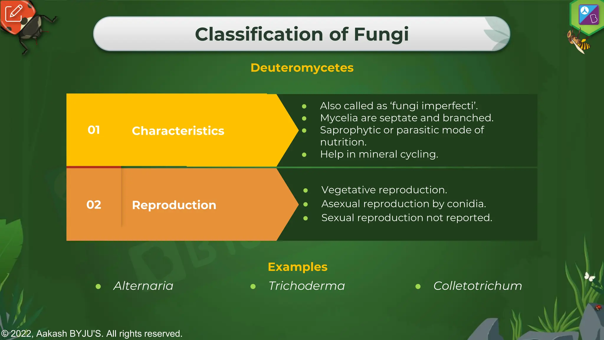 © 2022, Aakash BYJU'S. All rights reserved.
Classification of Fungi
Deuteromycetes
Reproduction
02
● Vegetative reproduction.
● Asexual reproduction by conidia.
● Sexual reproduction not reported.
Characteristics
01
● Also called as ‘fungi imperfecti’.
● Mycelia are septate and branched.
● Saprophytic or parasitic mode of
nutrition.
● Help in mineral cycling.
Examples
● Alternaria ● Trichoderma ● Colletotrichum
 