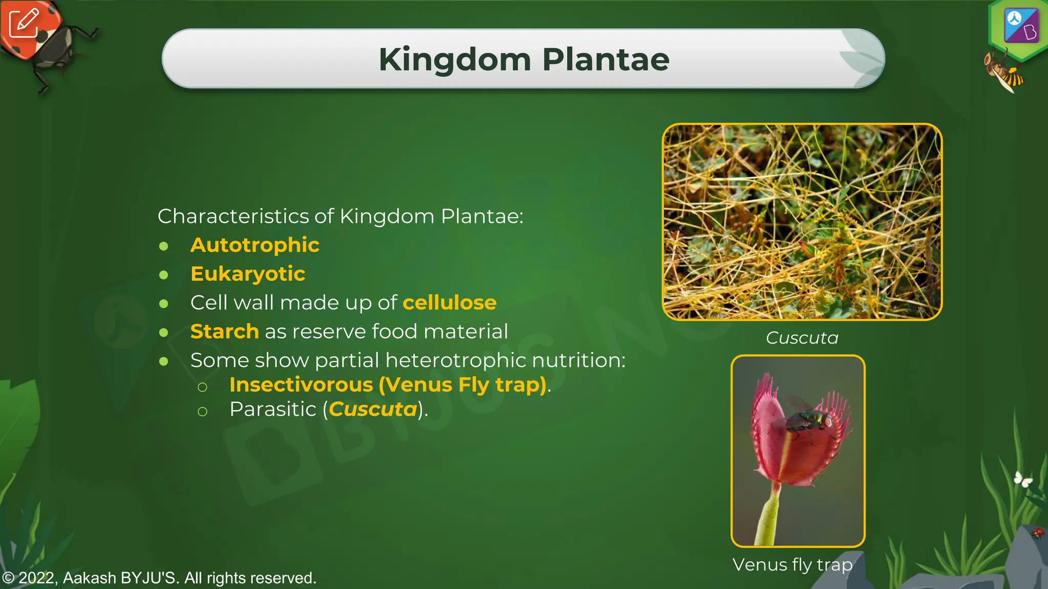 © 2022, Aakash BYJU'S. All rights reserved.
Kingdom Plantae
Characteristics of Kingdom Plantae:
● Autotrophic
● Eukaryotic
● Cell wall made up of cellulose
● Starch as reserve food material
● Some show partial heterotrophic nutrition:
o Insectivorous (Venus Fly trap).
o Parasitic (Cuscuta).
Venus fly trap
Cuscuta
 