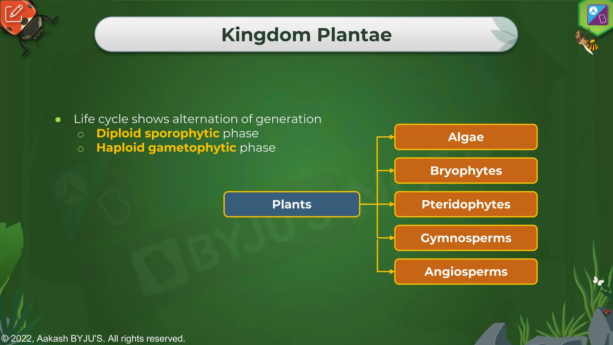 © 2022, Aakash BYJU'S. All rights reserved.
Kingdom Plantae
● Life cycle shows alternation of generation
o Diploid sporophytic phase
o Haploid gametophytic phase
Plants
Bryophytes
Pteridophytes
Gymnosperms
Angiosperms
Algae
 