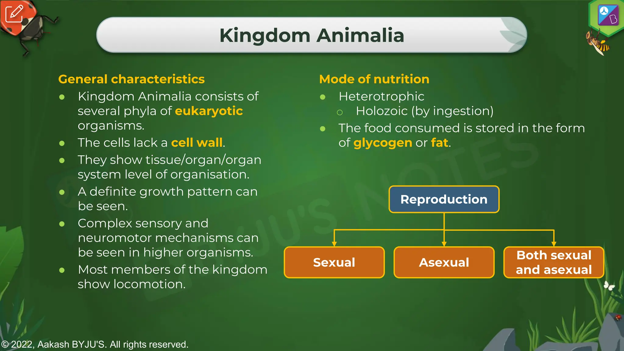 © 2022, Aakash BYJU'S. All rights reserved.
Kingdom Animalia
General characteristics
● Kingdom Animalia consists of
several phyla of eukaryotic
organisms.
● The cells lack a cell wall.
● They show tissue/organ/organ
system level of organisation.
● A definite growth pattern can
be seen.
● Complex sensory and
neuromotor mechanisms can
be seen in higher organisms.
● Most members of the kingdom
show locomotion.
Mode of nutrition
● Heterotrophic
o Holozoic (by ingestion)
● The food consumed is stored in the form
of glycogen or fat.
Reproduction
Sexual
Both sexual
and asexual
Asexual
 