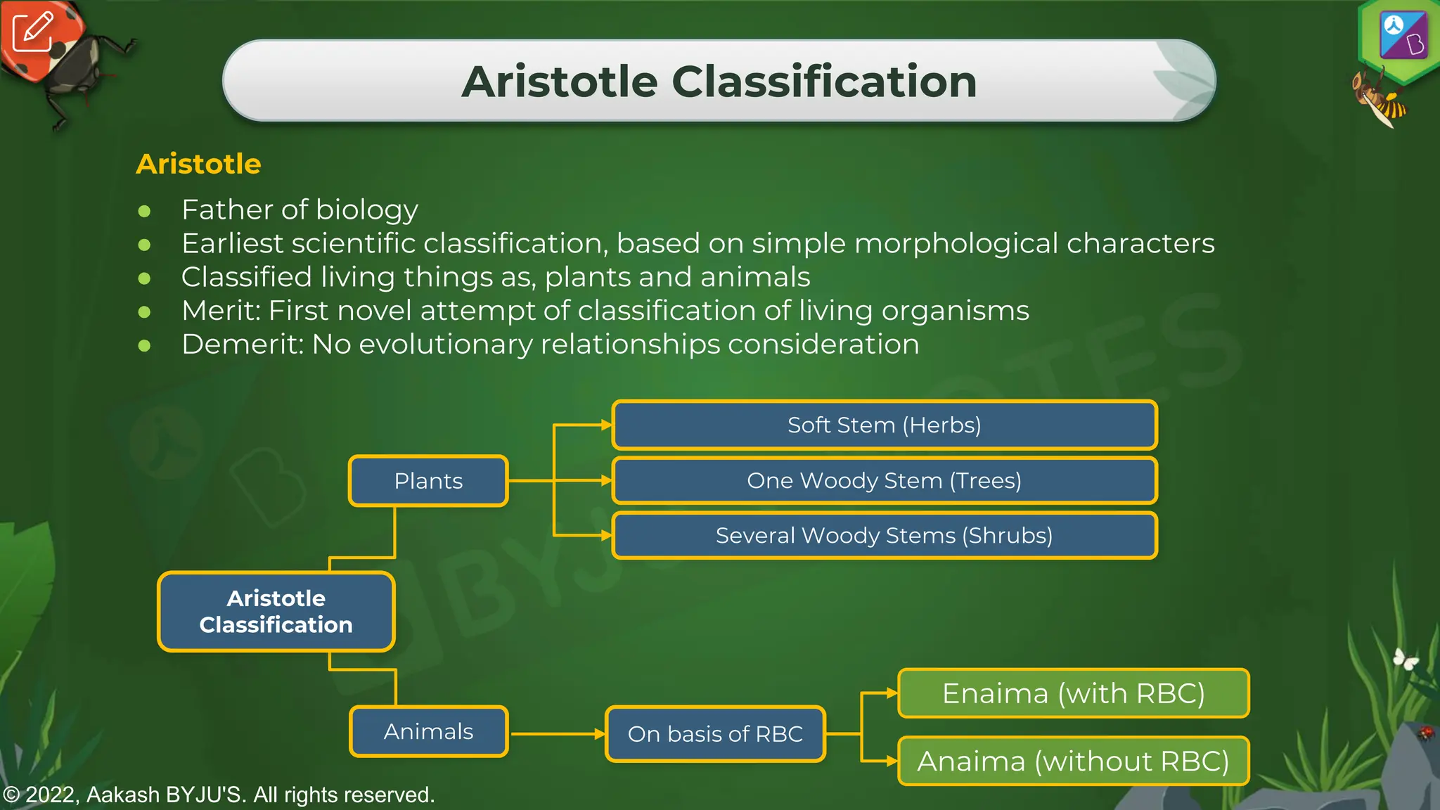 © 2022, Aakash BYJU'S. All rights reserved.
Aristotle Classification
Aristotle
● Father of biology
● Earliest scientific classification, based on simple morphological characters
● Classified living things as, plants and animals
● Merit: First novel attempt of classification of living organisms
● Demerit: No evolutionary relationships consideration
Several Woody Stems (Shrubs)
One Woody Stem (Trees)
Soft Stem (Herbs)
Enaima (with RBC)
Anaima (without RBC)
On basis of RBC
Animals
Plants
 
