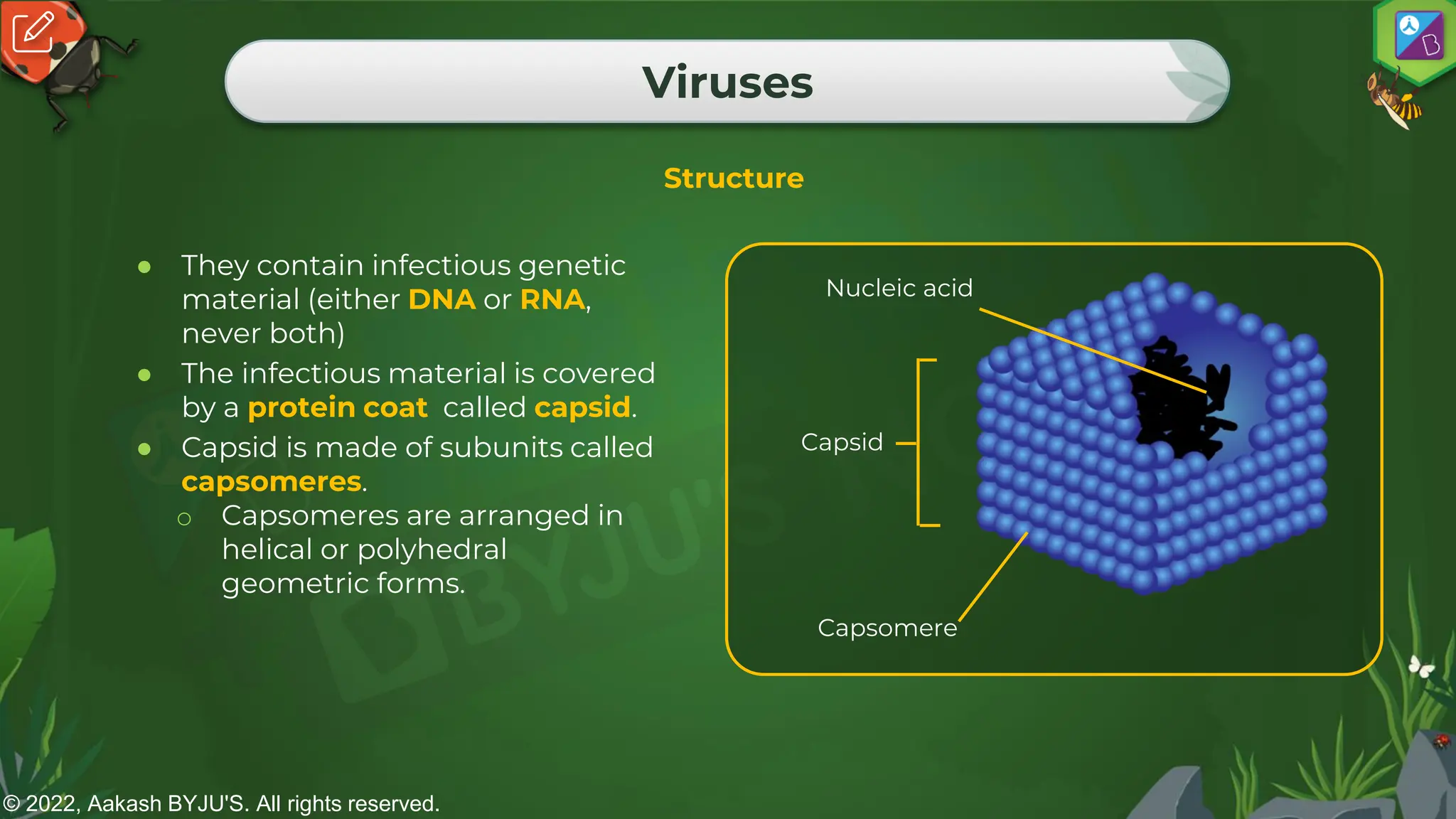 © 2022, Aakash BYJU'S. All rights reserved.
Viruses
Structure
● They contain infectious genetic
material (either DNA or RNA,
never both)
● The infectious material is covered
by a protein coat called capsid.
● Capsid is made of subunits called
capsomeres.
o Capsomeres are arranged in
helical or polyhedral
geometric forms.
Nucleic acid
Capsid
Capsomere
 
