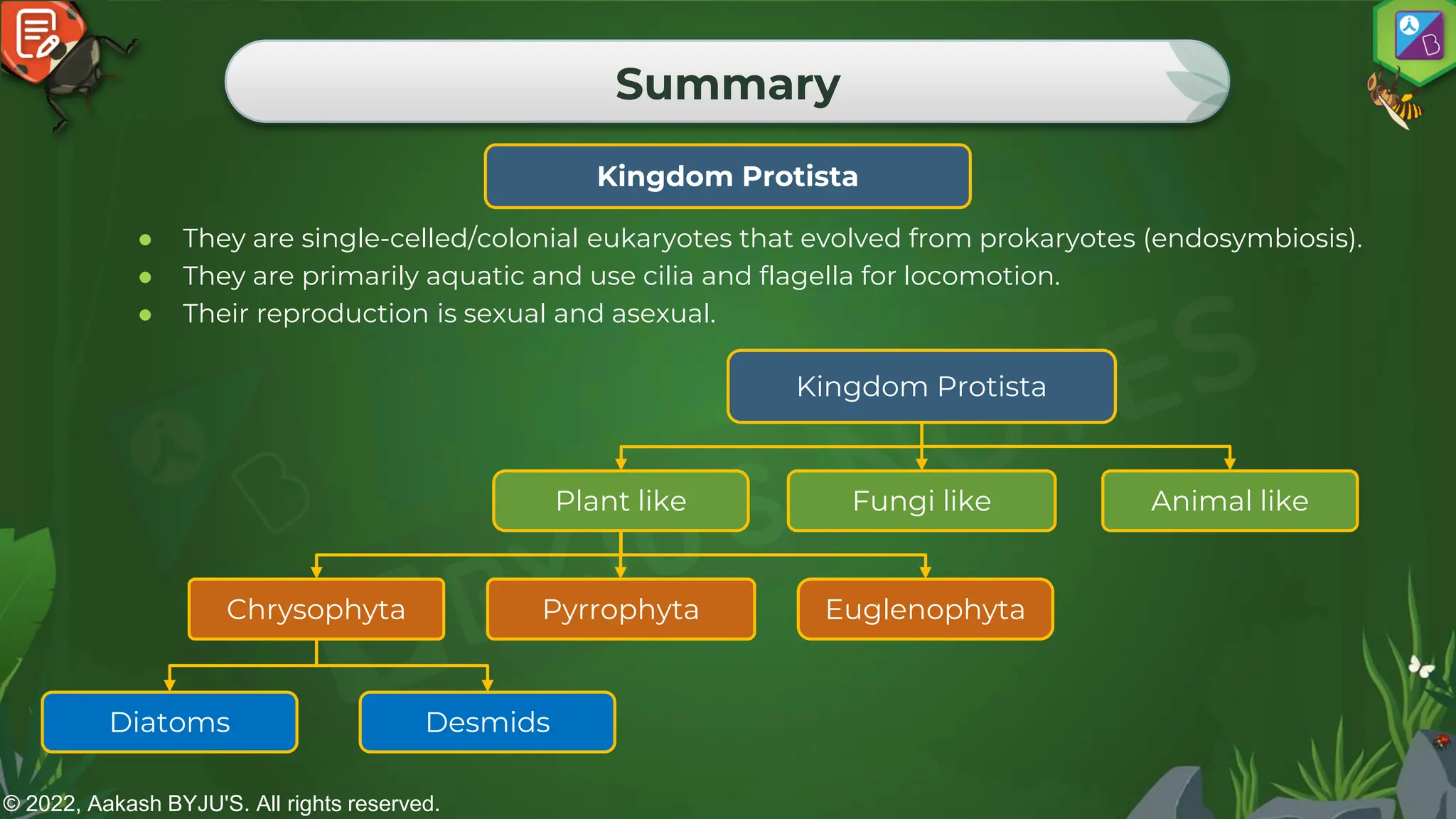 © 2022, Aakash BYJU'S. All rights reserved.
Summary
Kingdom Protista
● They are single-celled/colonial eukaryotes that evolved from prokaryotes (endosymbiosis).
● They are primarily aquatic and use cilia and flagella for locomotion.
● Their reproduction is sexual and asexual.
Kingdom Protista
Plant like Fungi like Animal like
Chrysophyta Pyrrophyta Euglenophyta
Diatoms Desmids
 