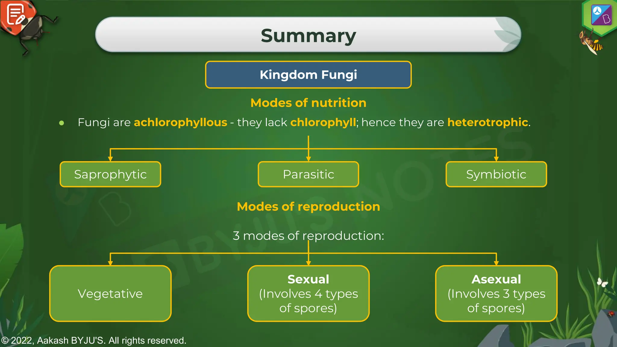 © 2022, Aakash BYJU'S. All rights reserved.
Summary
Kingdom Fungi
● Fungi are achlorophyllous - they lack chlorophyll; hence they are heterotrophic.
Modes of nutrition
Saprophytic Parasitic Symbiotic
Modes of reproduction
3 modes of reproduction:
Vegetative
Sexual
(Involves 4 types
of spores)
Asexual
(Involves 3 types
of spores)
 