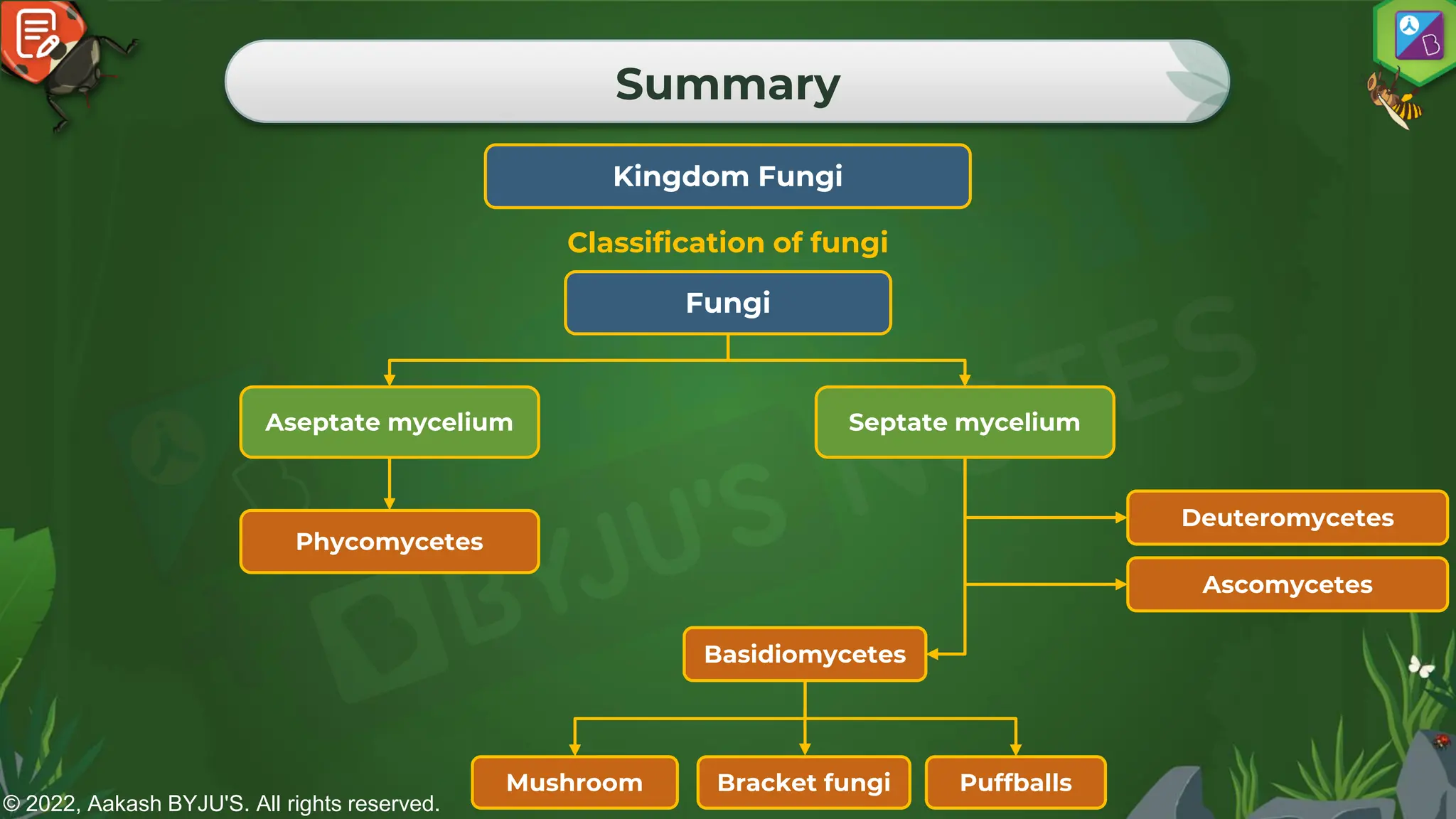© 2022, Aakash BYJU'S. All rights reserved.
Summary
Kingdom Fungi
Classification of fungi
Fungi
Aseptate mycelium Septate mycelium
Ascomycetes
Basidiomycetes
Deuteromycetes
Phycomycetes
Puffballs
Bracket fungi
Mushroom
 