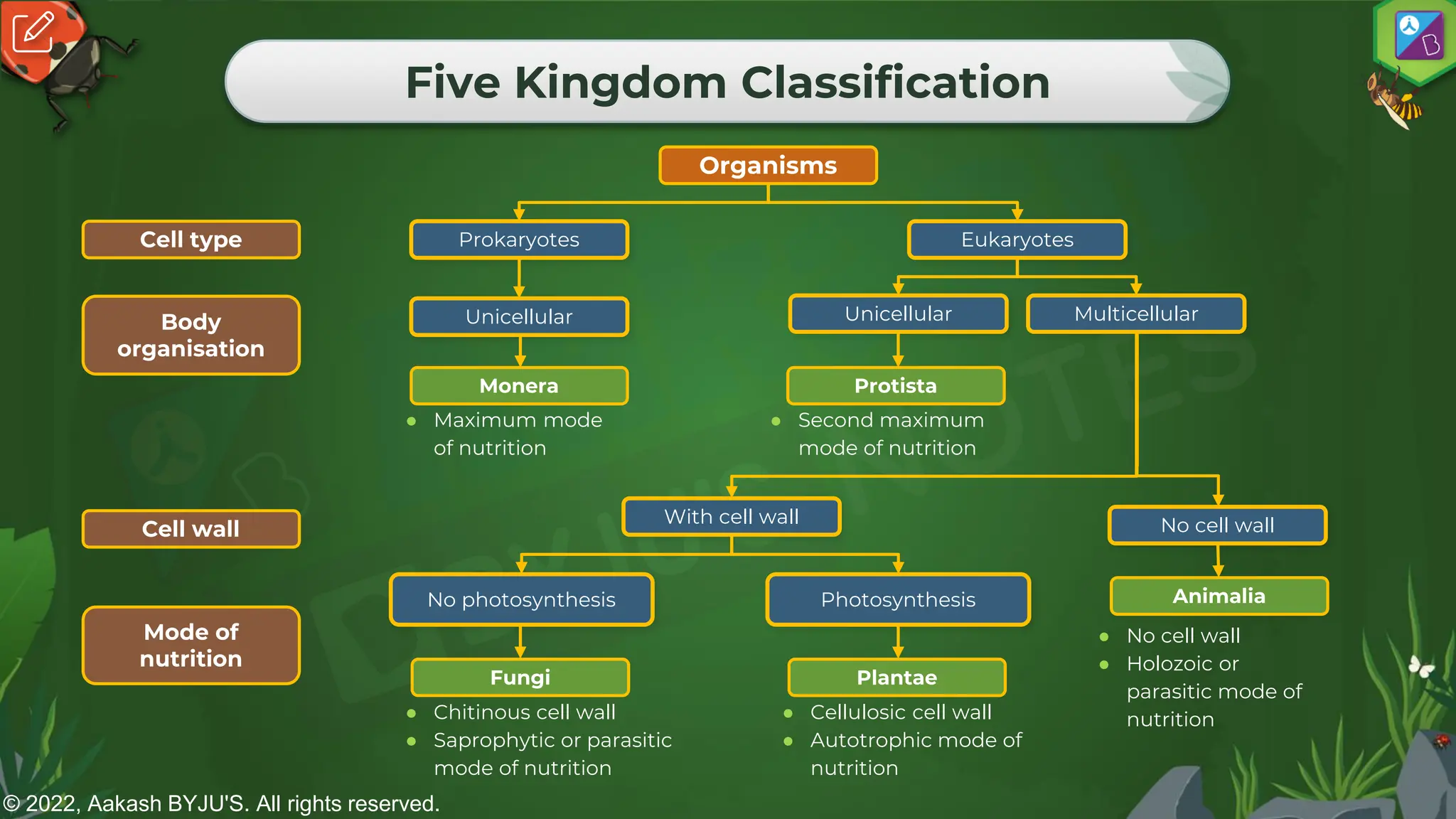 © 2022, Aakash BYJU'S. All rights reserved.
Five Kingdom Classification
Organisms
Eukaryotes
Prokaryotes
Unicellular Unicellular Multicellular
Monera Protista
With cell wall No cell wall
Animalia
No photosynthesis Photosynthesis
Plantae
Fungi
Cell type
Body
organisation
Cell wall
Mode of
nutrition
● Chitinous cell wall
● Saprophytic or parasitic
mode of nutrition
● Cellulosic cell wall
● Autotrophic mode of
nutrition
● No cell wall
● Holozoic or
parasitic mode of
nutrition
● Maximum mode
of nutrition
● Second maximum
mode of nutrition
 