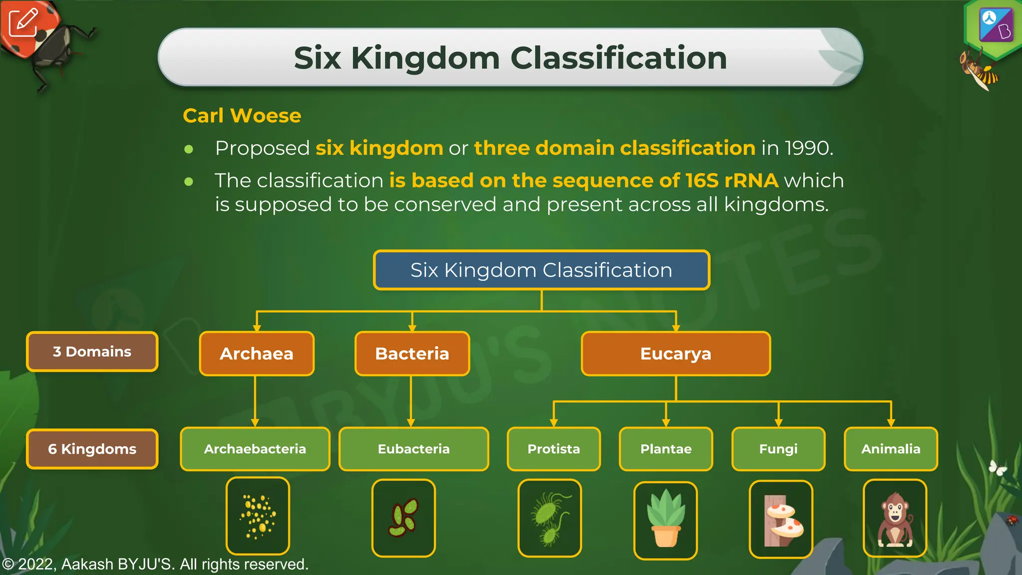 © 2022, Aakash BYJU'S. All rights reserved.
Six Kingdom Classification
Carl Woese
● Proposed six kingdom or three domain classification in 1990.
● The classification is based on the sequence of 16S rRNA which
is supposed to be conserved and present across all kingdoms.
Archaebacteria
Six Kingdom Classification
Eucarya
Archaea Bacteria
3 Domains
6 Kingdoms Eubacteria Protista Plantae Fungi Animalia
 