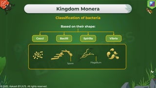 © 2022, Aakash BYJU'S. All rights reserved.
Kingdom Monera
Classification of bacteria
Cocci Bacilli Spirilla Vibrio
Spore Flagellum
Based on their shape:
 