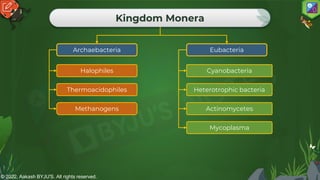 © 2022, Aakash BYJU'S. All rights reserved.
Kingdom Monera
Archaebacteria Eubacteria
Halophiles
Thermoacidophiles
Methanogens
Cyanobacteria
Heterotrophic bacteria
Actinomycetes
Mycoplasma
 