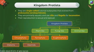 © 2022, Aakash BYJU'S. All rights reserved.
Kingdom Protista
● They are single-celled/colonial eukaryotes that evolved from
prokaryotes (endosymbiosis).
● They are primarily aquatic and use cilia and flagella for locomotion.
● Their reproduction is sexual and asexual.
Kingdom Protista
Plant like Fungi like Animal like
Chrysophyta Pyrrophyta Euglenophyta
Diatoms Desmids
 