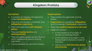 © 2022, Aakash BYJU'S. All rights reserved.
Kingdom Protista
Pyrrophyta
● It consists of category of organisms
called dinoflagellates.
● They are microscopic, unicellular and
biflagellate organisms.
● Their cell walls have stiff cellulose
plates.
● They are mostly marine and
photosynthetic.
● They are yellow, green, brown, blue or
red in appearance due to varying
pigments.
● Toxins released are harmful to fishes.
Euglenophyta
● They consist of euglenoids among
others.
● Euglenoids are unicellular, biflagellate
and microscopic, freshwater organisms.
● They have pellicle instead of a cell wall.
● Mode of nutrition:
● In the presence of sunlight, it
carries out photosynthesis.
● In the absence of sunlight, it has
heterotrophic (holozoic) mode of
nutrition.
● Hence, it is a link between plants
and animals.
 