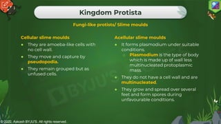 © 2022, Aakash BYJU'S. All rights reserved.
Kingdom Protista
Cellular slime moulds
● They are amoeba-like cells with
no cell wall.
● They move and capture by
pseudopodia.
● They remain grouped but as
unfused cells.
Acellular slime moulds
● It forms plasmodium under suitable
conditions.
o Plasmodium is the type of body
which is made up of wall less
multinucleated protoplasmic
mass.
● They do not have a cell wall and are
multinucleated.
● They grow and spread over several
feet and form spores during
unfavourable conditions.
Fungi-like protists/ Slime moulds
 