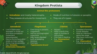 © 2022, Aakash BYJU'S. All rights reserved.
Kingdom Protista
● Unicellular and mostly heterotrophs.
● They possess structures for movement.
Animal like protozoans
● Mode of nutrition is holozoic or parasitic.
● They are of 4 types:
● Live in freshwater,
seawater or moist soil
and show amoeboid
movement
(pseudopodia)
● Marine forms have silica
shells on their surface
● Some may be parasites
● E.g. : Amoeba,
Entamoeba histolytica
Amoeboid
● Free-living or parasitic
● Flagellated
● Marine and freshwater
organisms
● May cause diseases
such as sleeping
sickness
● Example:
Trypanosoma brucei
Flagellated
● Aquatic
● Have a cavity that
open to outside of
cell surface
● Cilia help in feeding
● E.g. : Paramecium,
Vorticella
Ciliated
● Parasites of animals
● Cause diseases
● Have an infectious
spore-like stage
● May have more than
one host
● E.g. : Plasmodium
(malarial parasite)
Sporozoans
 