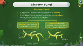 © 2022, Aakash BYJU'S. All rights reserved.
Kingdom Fungi
● Fungi have a filamentous body known as hyphae.
● The hyphae form a network known as the mycelium.
● The mycelium can be of two types:
Structure of fungi
Septate - Hyphae have
cross-walls or septae
Aseptate - Hyphae
contain a multinucleate
continuous cytoplasm
Septate hyphae Coenocytic hyphae
Septum
Nucleus
Hyphae
 