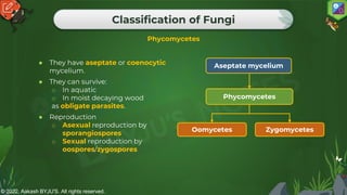 © 2022, Aakash BYJU'S. All rights reserved.
Classification of Fungi
Phycomycetes
● They have aseptate or coenocytic
mycelium.
● They can survive:
o In aquatic
o In moist decaying wood
as obligate parasites.
● Reproduction
o Asexual reproduction by
sporangiospores
o Sexual reproduction by
oospores/zygospores
Aseptate mycelium
Phycomycetes
Oomycetes Zygomycetes
 