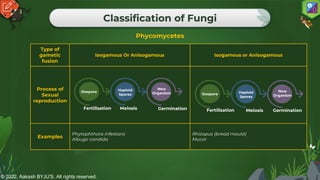 © 2022, Aakash BYJU'S. All rights reserved.
Classification of Fungi
Phycomycetes
Type of
gametic
fusion
Isogamous Or Anisogamous Isogamous or Anisogamous
Process of
Sexual
reproduction
Examples
Phytophthora infestans
Albugo candida
Rhizopus (bread mould)
Mucor
Fertilisation
Oospore
Meiosis
Haploid
Spores
Germination
New
Organism
Fertilisation
Oospore
Meiosis
Haploid
Spores
Germination
New
Organism
 