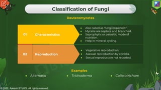 © 2022, Aakash BYJU'S. All rights reserved.
Classification of Fungi
Deuteromycetes
Reproduction
02
● Vegetative reproduction.
● Asexual reproduction by conidia.
● Sexual reproduction not reported.
Characteristics
01
● Also called as ‘fungi imperfecti’.
● Mycelia are septate and branched.
● Saprophytic or parasitic mode of
nutrition.
● Help in mineral cycling.
Examples
● Alternaria ● Trichoderma ● Colletotrichum
 