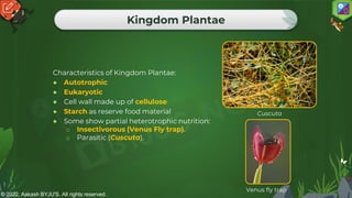 © 2022, Aakash BYJU'S. All rights reserved.
Kingdom Plantae
Characteristics of Kingdom Plantae:
● Autotrophic
● Eukaryotic
● Cell wall made up of cellulose
● Starch as reserve food material
● Some show partial heterotrophic nutrition:
o Insectivorous (Venus Fly trap).
o Parasitic (Cuscuta).
Venus fly trap
Cuscuta
 