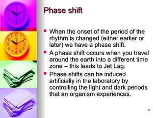 Biological Clocks, Slideshow about biological clocks for biology class ...