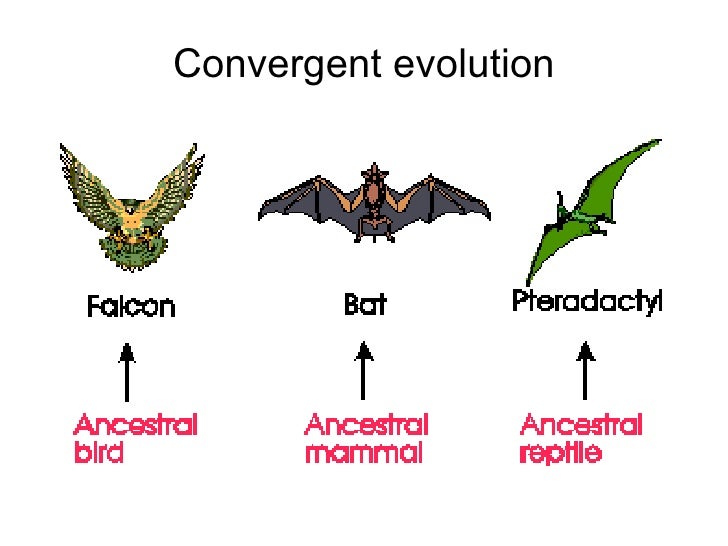 Biological Communities And Interaction