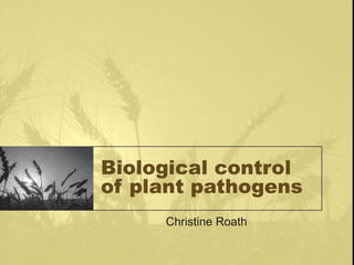 Biological control
of plant pathogens
     Christine Roath
 