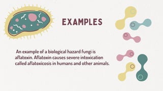 Environmental Biological Hazard And how to prevent.pdf