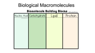 Biological Macromolecules
 