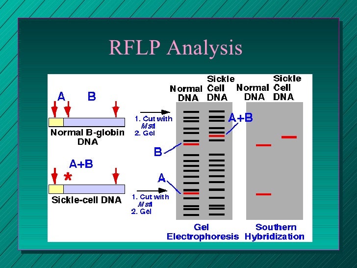 biological markers