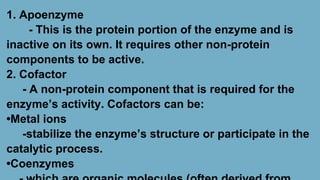 BIOLOGICAL MOLECULES-BSN1 General Biology | PDF