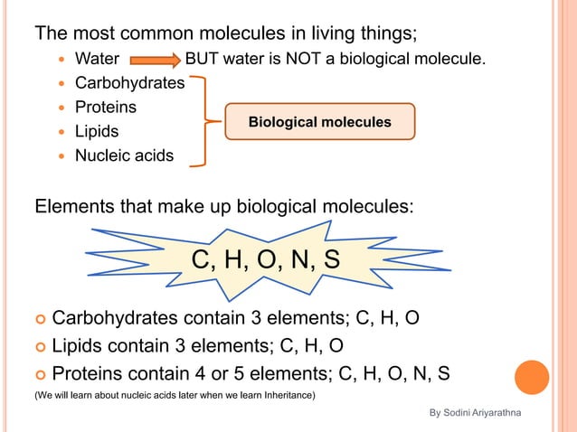 biological-molecules-ppt