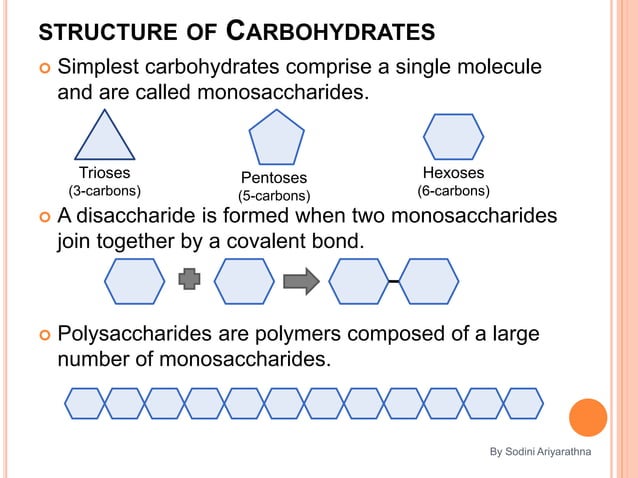 biological-molecules-ppt