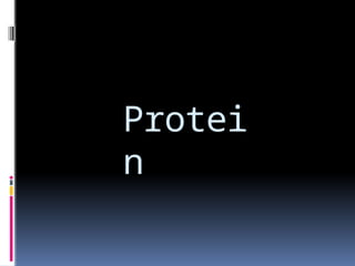 Protei
n
 