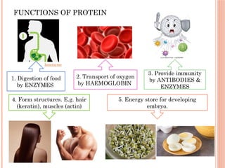 FUNCTIONS OF PROTEIN
1. Digestion of food
by ENZYMES
2. Transport of oxygen
by HAEMOGLOBIN
3. Provide immunity
by ANTIBODIES &
ENZYMES
Innerzyme
4. Form structures. E.g. hair
(keratin), muscles (actin)
5. Energy store for developing
embryo.
 